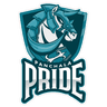 raiding team logo