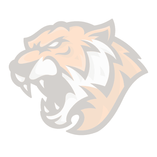 mascot