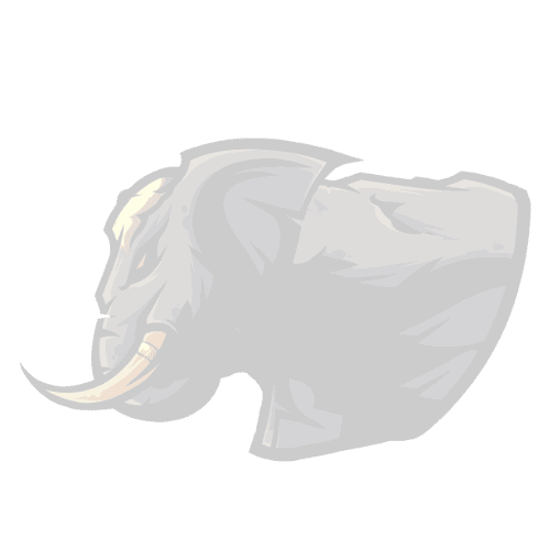 mascot